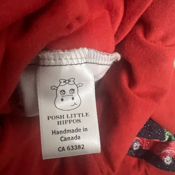 Made in Canada grow with me winter hoodie (size 1-3) - Picture 2 of 3